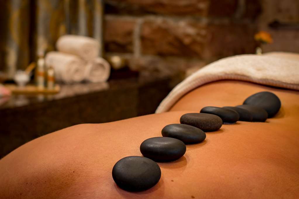 ホテル Domaine Du Normandoux, The Originals Relais Tercé 設備 写真