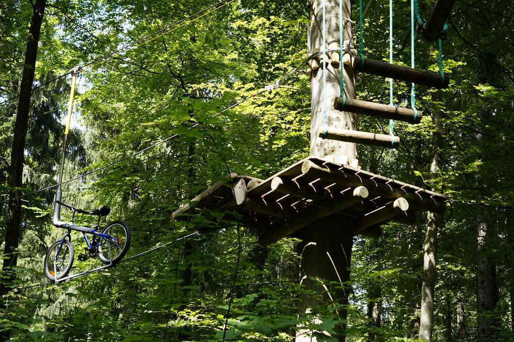 ホテル Domaine Du Normandoux, The Originals Relais Tercé 設備 写真